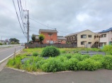  土地