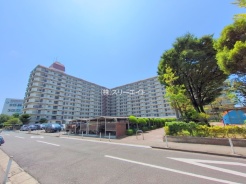 江戸川区南篠崎町５丁目