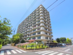 江戸川区南篠崎町５丁目