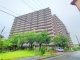埼玉県八潮市緑町 